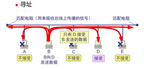計(jì)算機(jī)網(wǎng)絡(luò)體系結(jié)構(gòu) 數(shù)據(jù)鏈路層