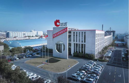 洽洽產(chǎn)品質(zhì)量 國(guó)潮文化與國(guó)際認(rèn)可的典范