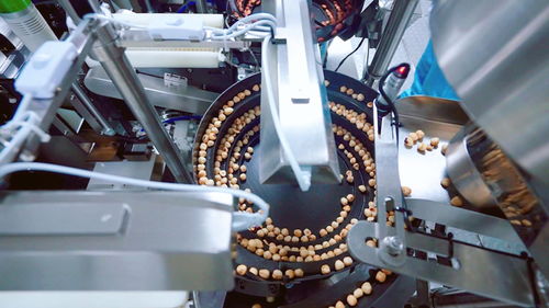 聚焦高質(zhì)量發(fā)展 | 安徽無(wú)為 小堅(jiān)果撬動(dòng)綠色食品大產(chǎn)業(yè)