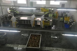 標(biāo)準(zhǔn)化建設(shè) 隆泰食品打造高品質(zhì)放心早餐與酒類(lèi)經(jīng)營(yíng)