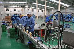 葉城立足地方資源優(yōu)勢(shì) 推動(dòng)農(nóng)產(chǎn)品加工業(yè)帶動(dòng)農(nóng)民增收致富