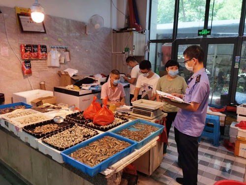 暫停加工和銷售進口三文魚產品，文成全面開展食品安全大檢查，重點關注酒類經營